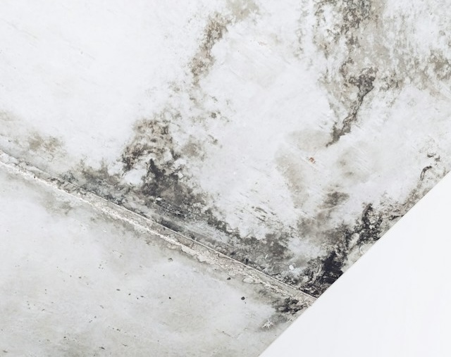 Pressure Washing NJ: The Best Ways to Remove Dirt, Mold, and Stains From Your Property
